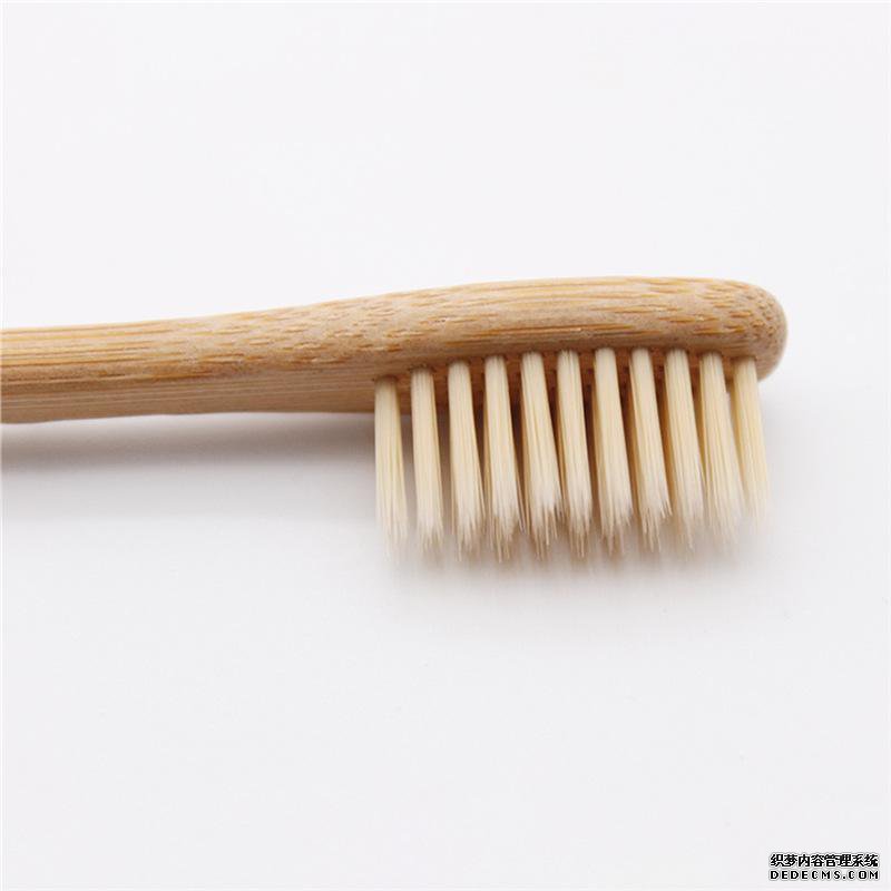 尼龍PA1010刷絲的研發歷程