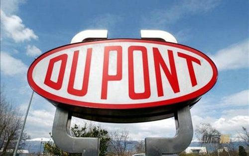 扒一扒國際上PA612的代表企業